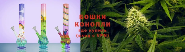 дурь Алзамай