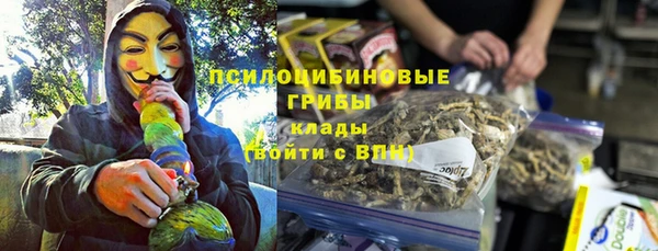 стаф Алексеевка