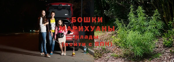дурь Алзамай